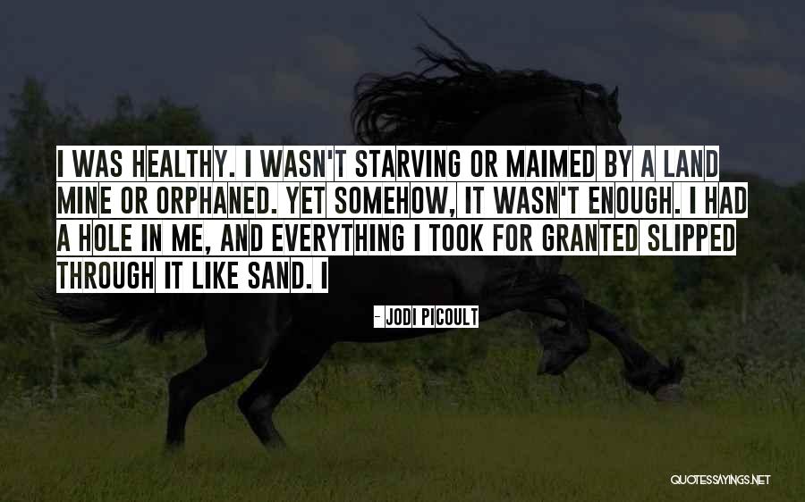 What You Took For Granted Quotes By Jodi Picoult What You Took For Granted Quotes By Jodi Picoult