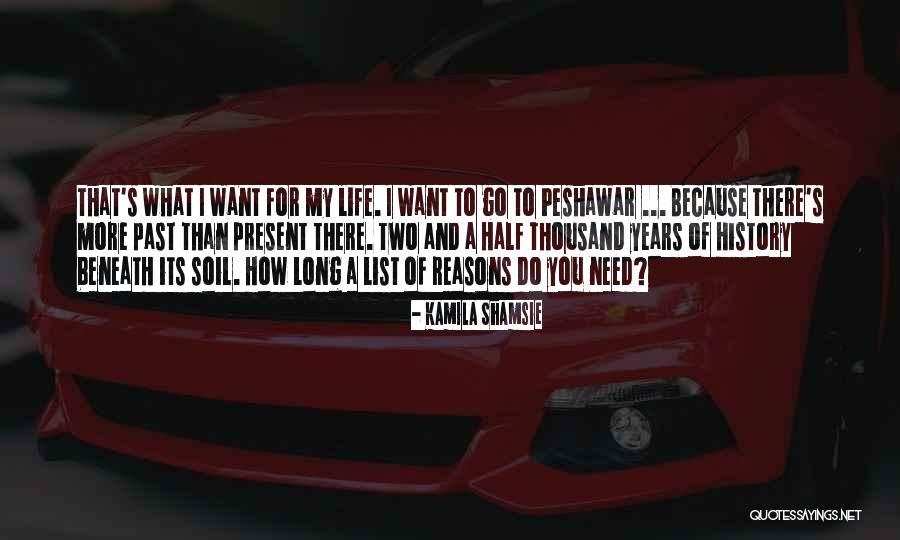 What You Want And What You Need Quotes By Kamila Shamsie What You Want And What You Need Quotes By Kamila Shamsie