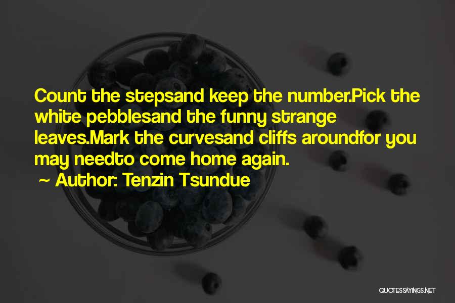 What Your Number Funny Quotes By Tenzin Tsundue
