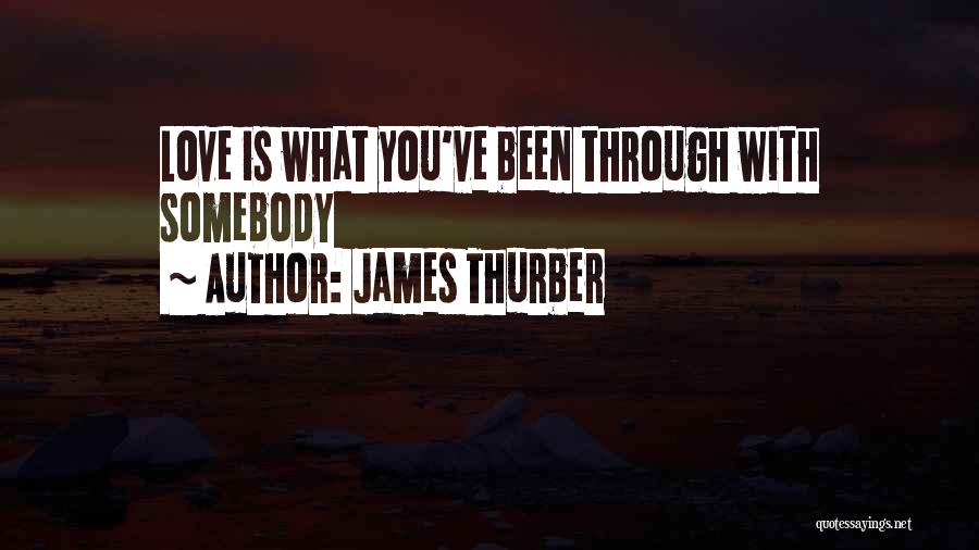 What You've Been Through Quotes By James Thurber