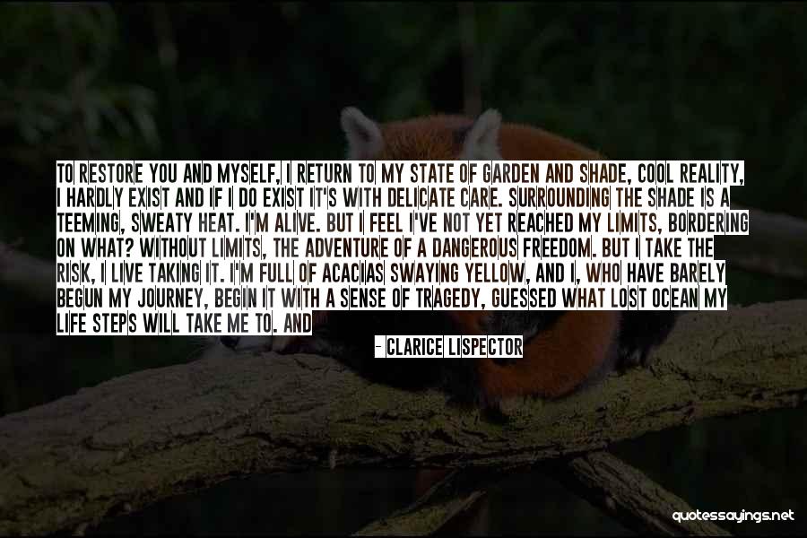 What You've Lost Quotes By Clarice Lispector What You've Lost Quotes By Clarice Lispector
