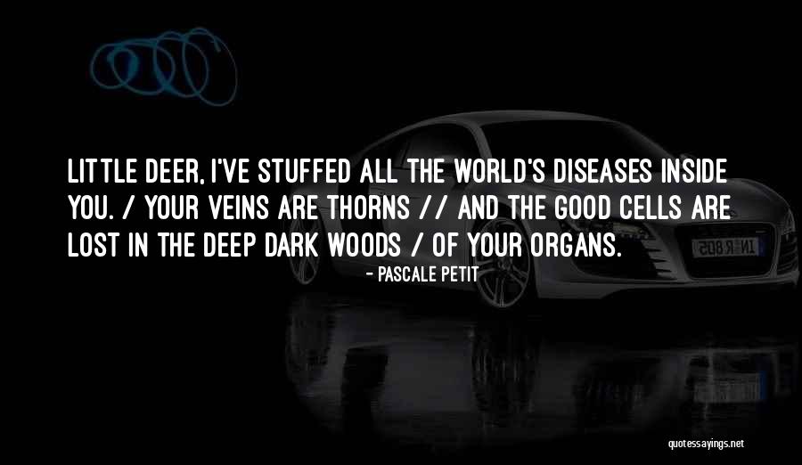 What You've Lost Quotes By Pascale Petit What You've Lost Quotes By Pascale Petit