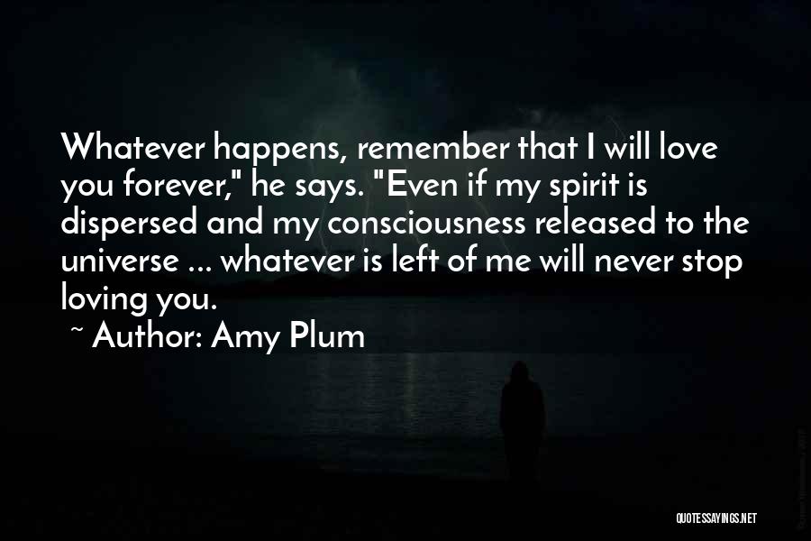 Whatever Happens I Love You Quotes By Amy Plum