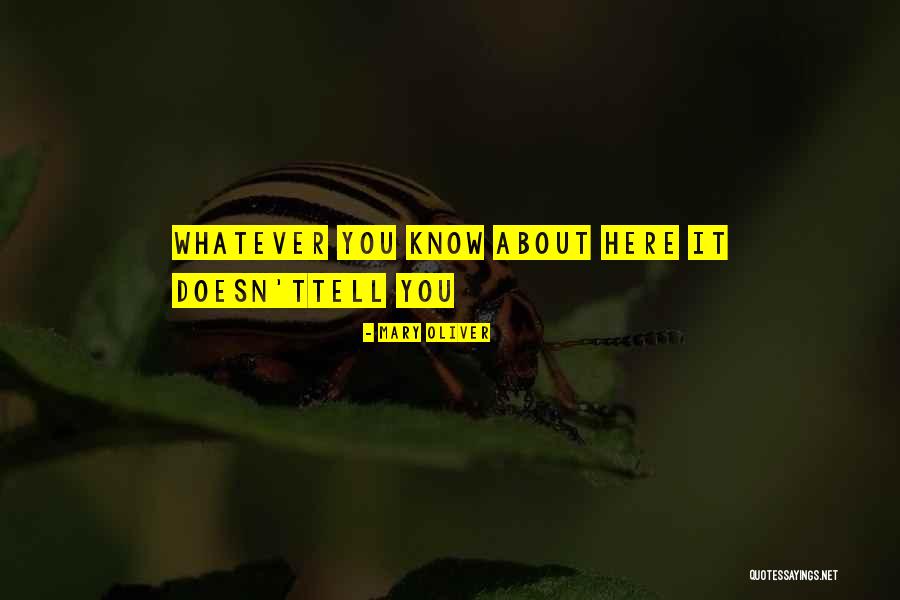 Whatever It Quotes By Mary Oliver Whatever It Quotes By Mary Oliver