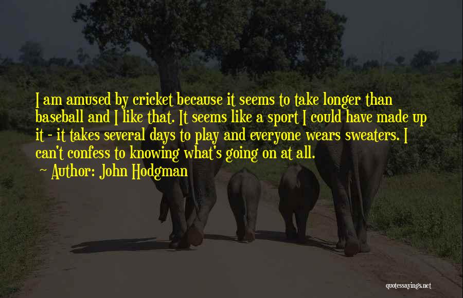 Whatever It Takes Sports Quotes By John Hodgman