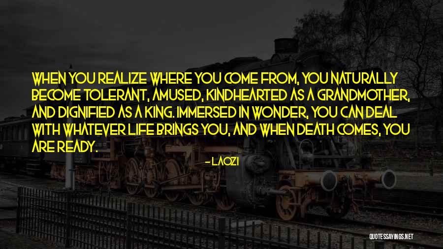 Whatever Life Brings You Quotes By Laozi Whatever Life Brings You Quotes By Laozi