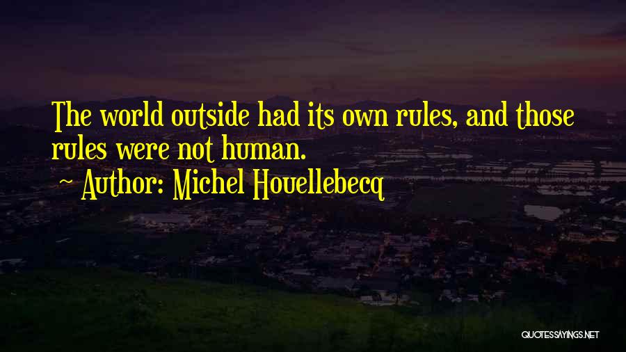 Whatever Michel Houellebecq Quotes By Michel Houellebecq