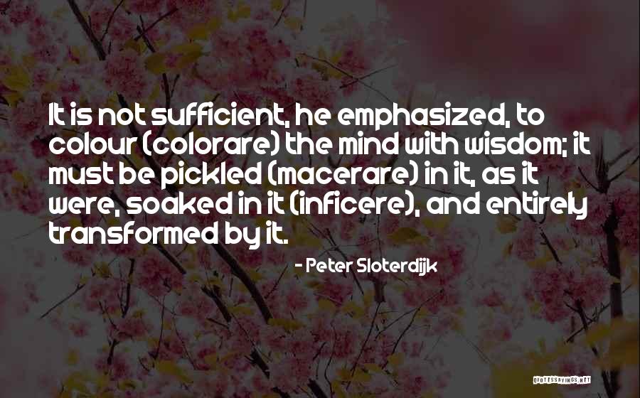 Whatever Pics Quotes By Peter Sloterdijk Whatever Pics Quotes By Peter Sloterdijk