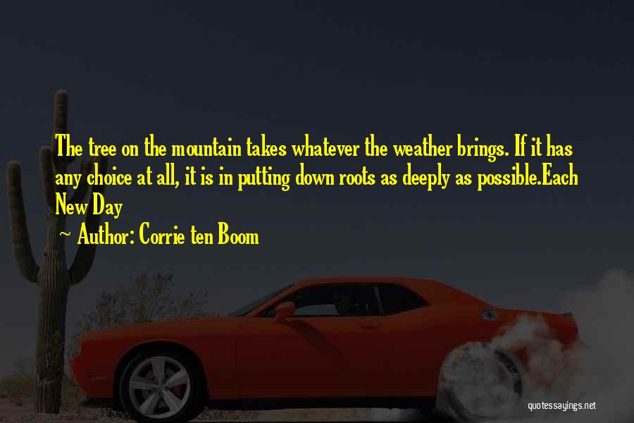 Whatever The Weather Quotes By Corrie Ten Boom