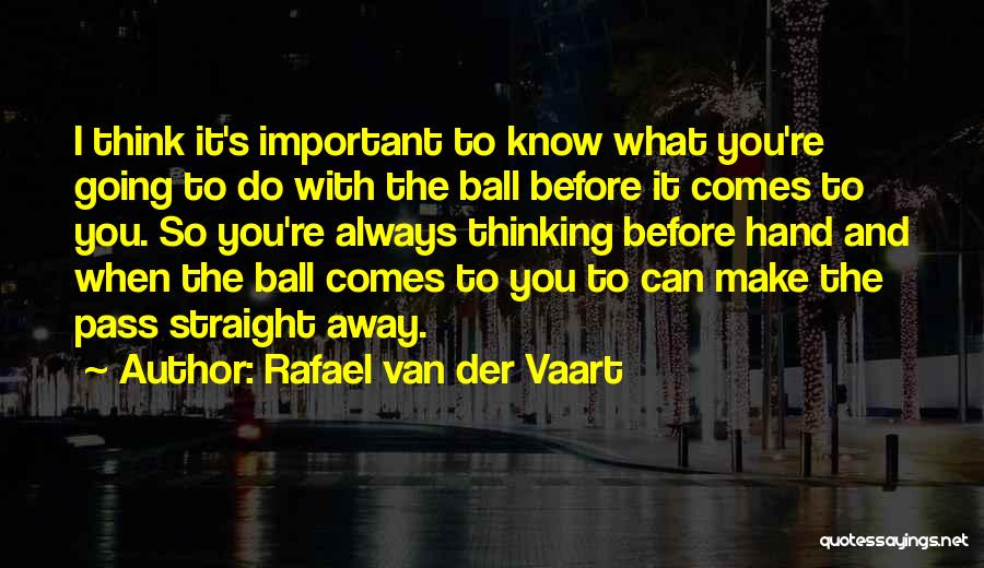 What's Important To You Quotes By Rafael Van Der Vaart