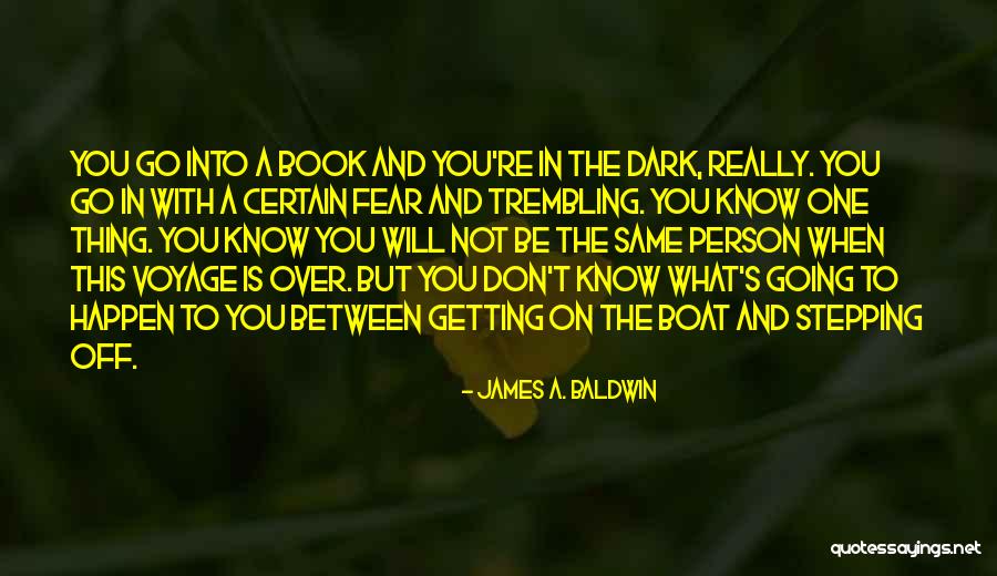 What's In The Dark Quotes By James A. Baldwin What's In The Dark Quotes By James A. Baldwin