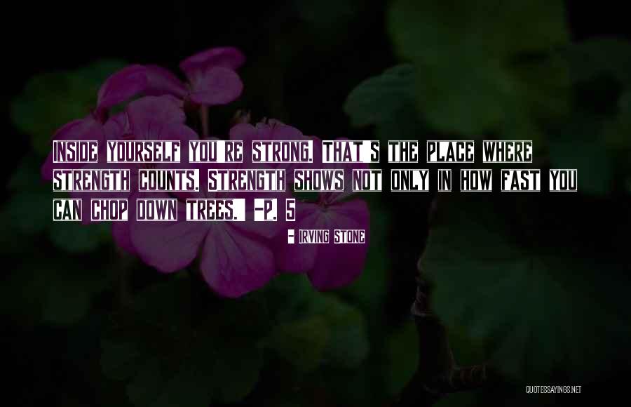 What's Inside That Counts Quotes By Irving Stone What's Inside That Counts Quotes By Irving Stone