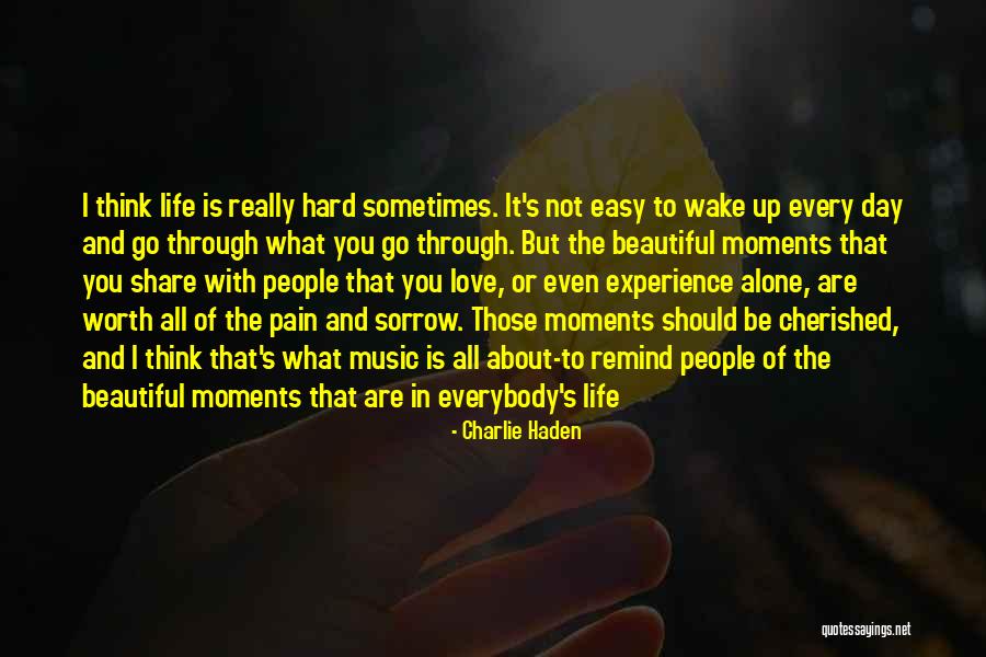 What's It All Worth Quotes By Charlie Haden What's It All Worth Quotes By Charlie Haden