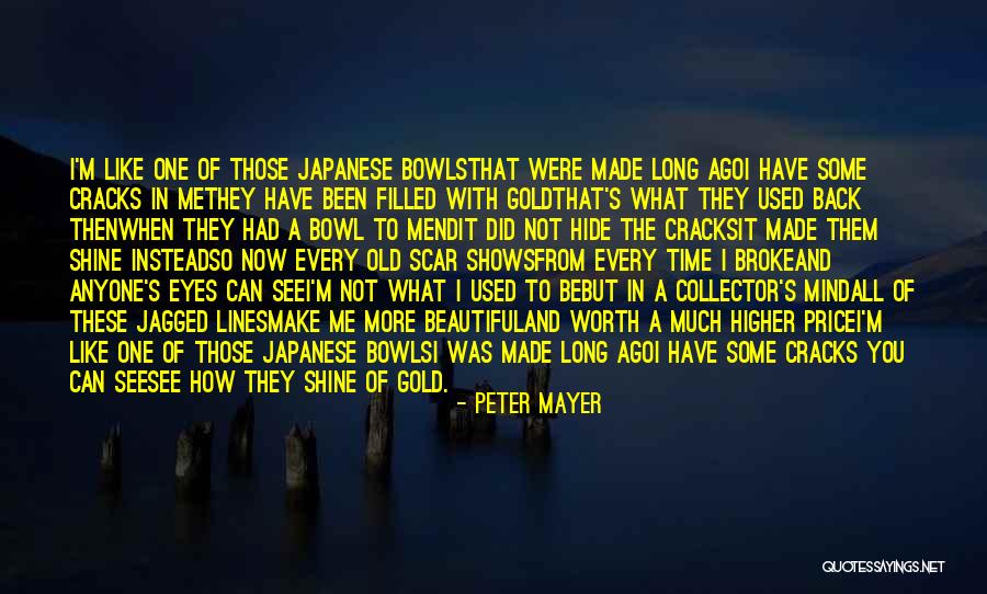 What's It All Worth Quotes By Peter Mayer