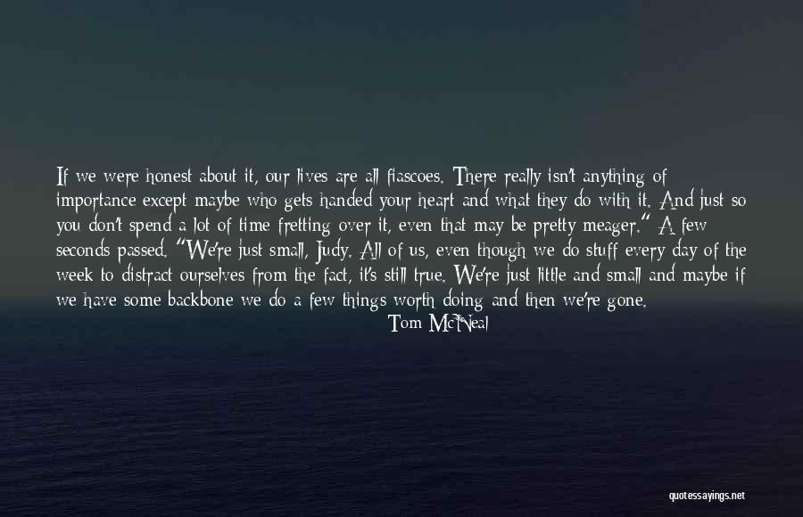 What's It All Worth Quotes By Tom McNeal What's It All Worth Quotes By Tom McNeal