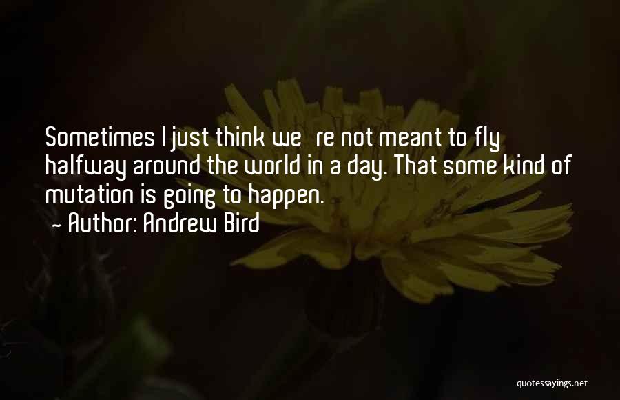 What's Meant To Be Will Happen Quotes By Andrew Bird