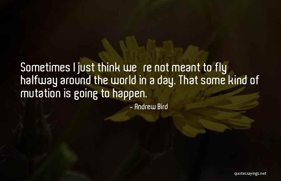 What's Meant To Be Will Happen Quotes By Andrew Bird