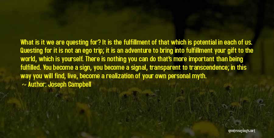 What's More Important In Life Quotes By Joseph Campbell