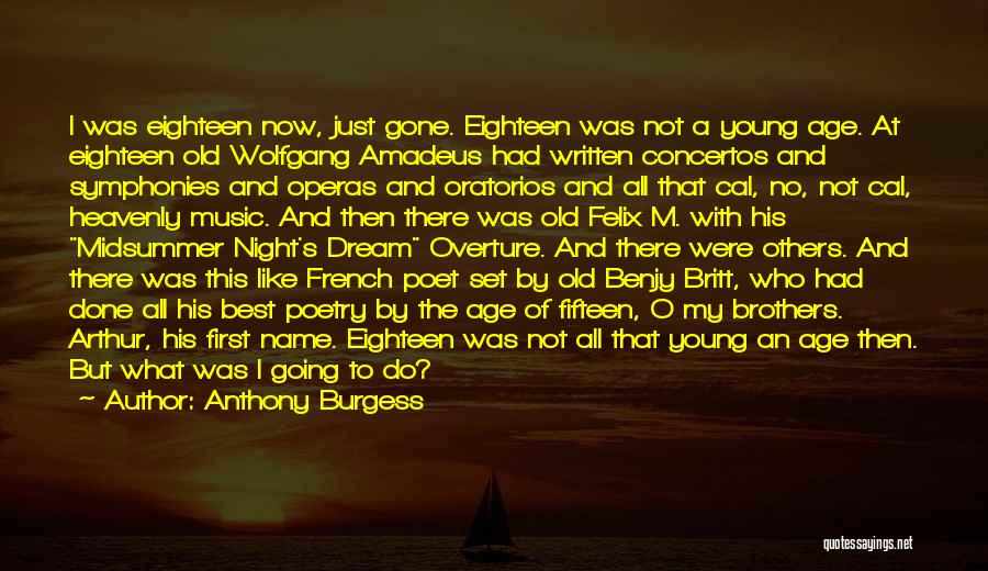 What's My Name Quotes By Anthony Burgess