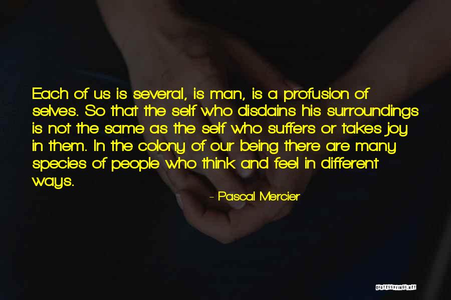 Whats Not To Like Quotes By Pascal Mercier Whats Not To Like Quotes By Pascal Mercier