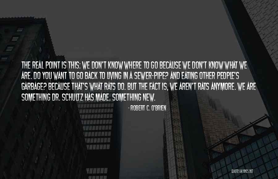 What's The Point Anymore Quotes By Robert C. O'Brien