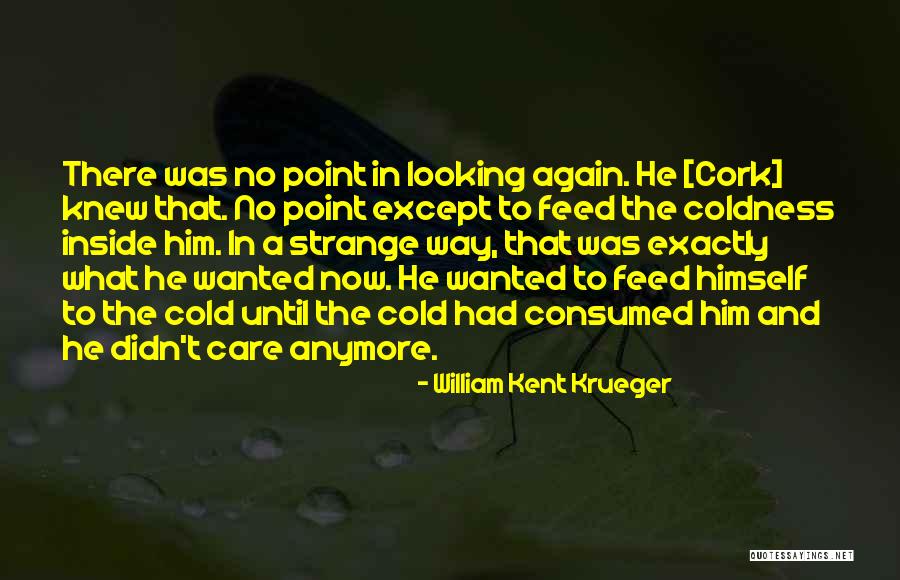 What's The Point Anymore Quotes By William Kent Krueger