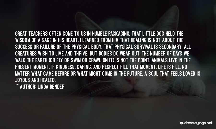 What's The Point In Caring Quotes By Linda Bender