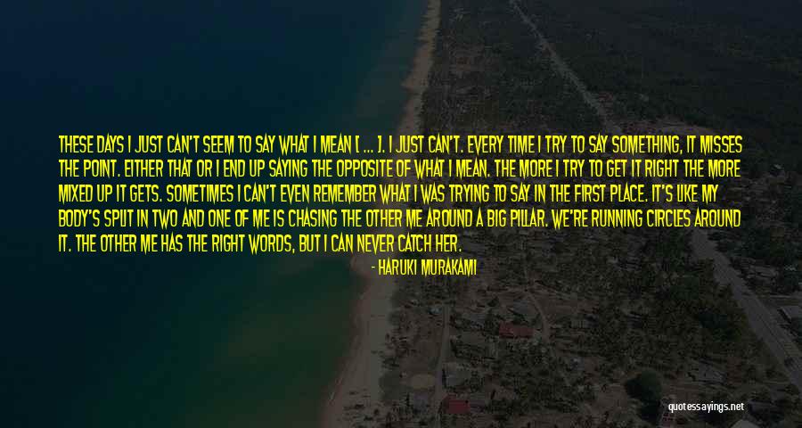 What's The Point Of Trying Quotes By Haruki Murakami