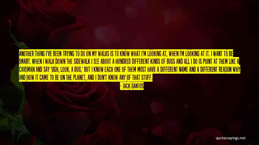 What's The Point Of Trying Quotes By Jack Gantos What's The Point Of Trying Quotes By Jack Gantos