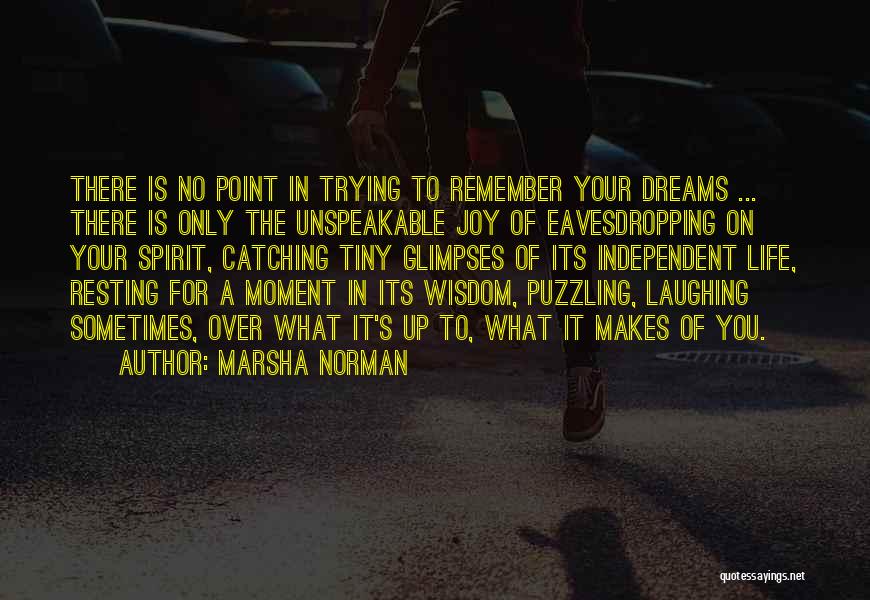 What's The Point Of Trying Quotes By Marsha Norman
