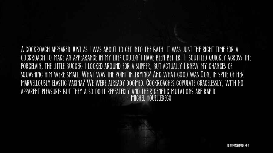 What's The Point Of Trying Quotes By Michel Houellebecq What's The Point Of Trying Quotes By Michel Houellebecq
