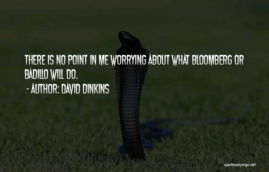 What's The Point Of Worrying Quotes By David Dinkins