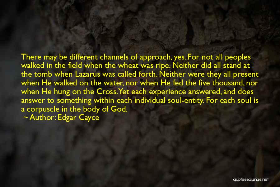 Wheat Field Quotes By Edgar Cayce