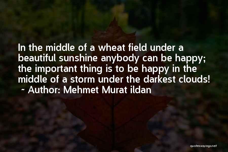Wheat Field Quotes By Mehmet Murat Ildan