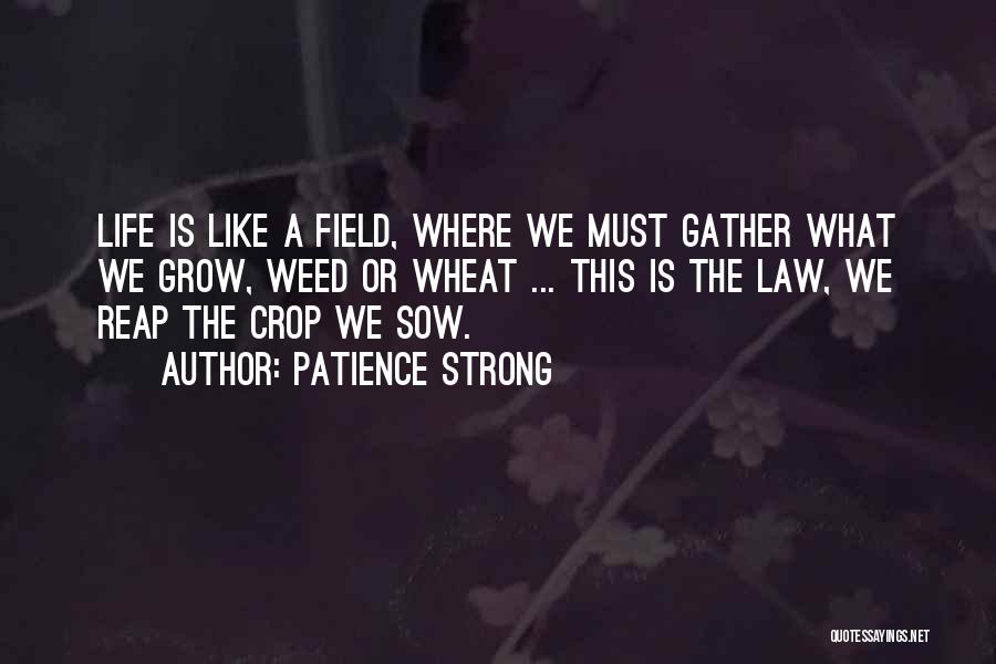 Wheat Field Quotes By Patience Strong