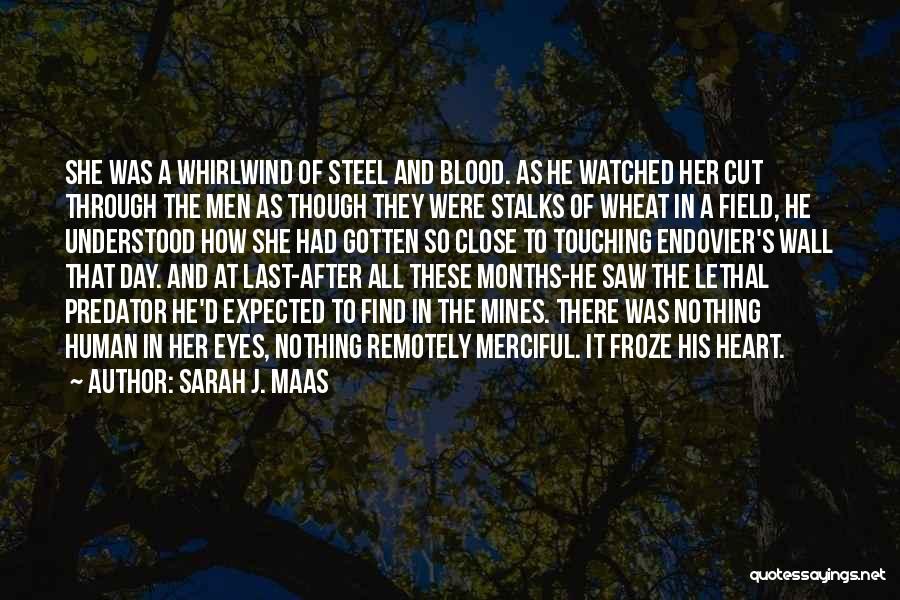 Wheat Field Quotes By Sarah J. Maas