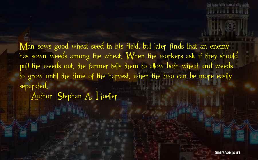 Wheat Field Quotes By Stephan A. Hoeller