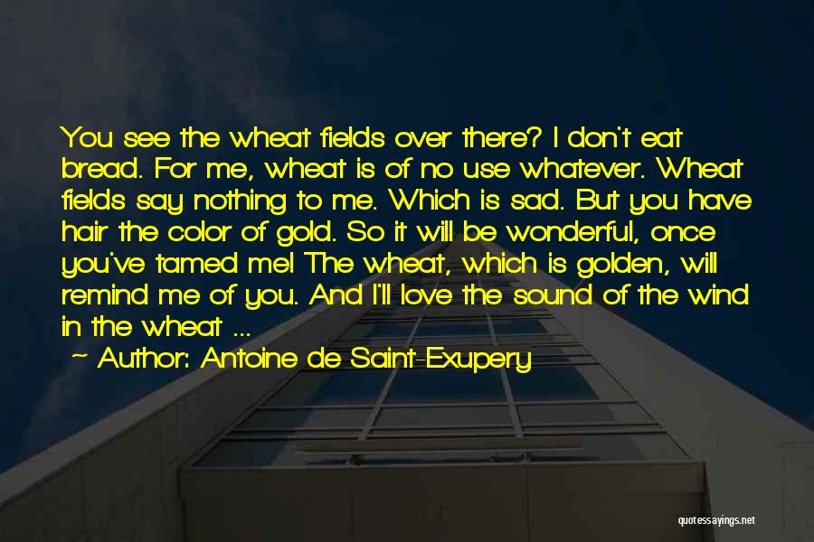 Wheat Fields Quotes By Antoine De Saint-Exupery