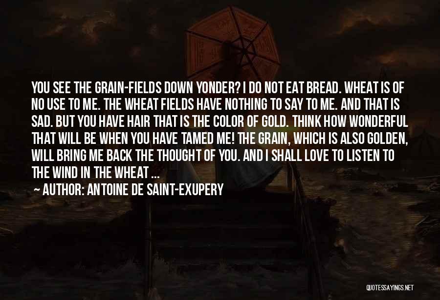 Wheat Fields Quotes By Antoine De Saint-Exupery