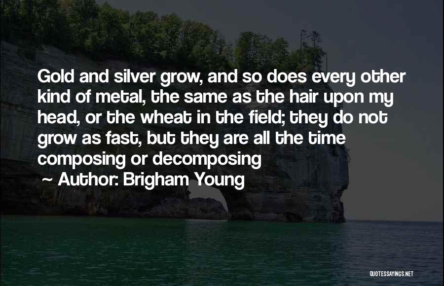 Wheat Fields Quotes By Brigham Young