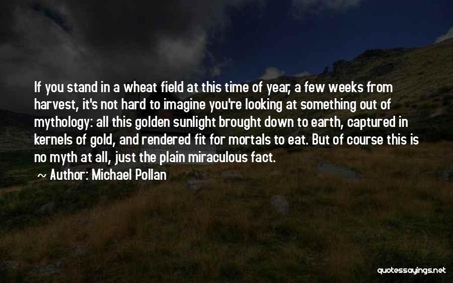 Wheat Harvest Quotes By Michael Pollan