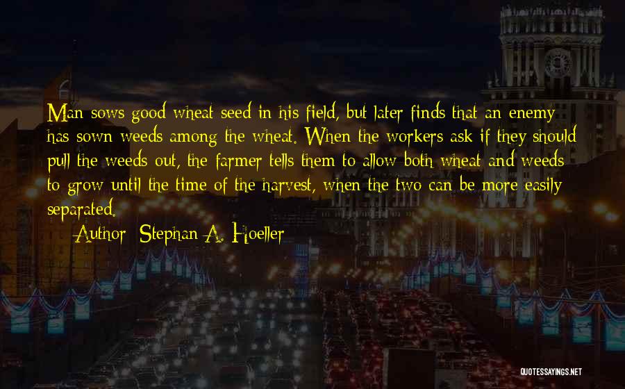 Wheat Harvest Quotes By Stephan A. Hoeller