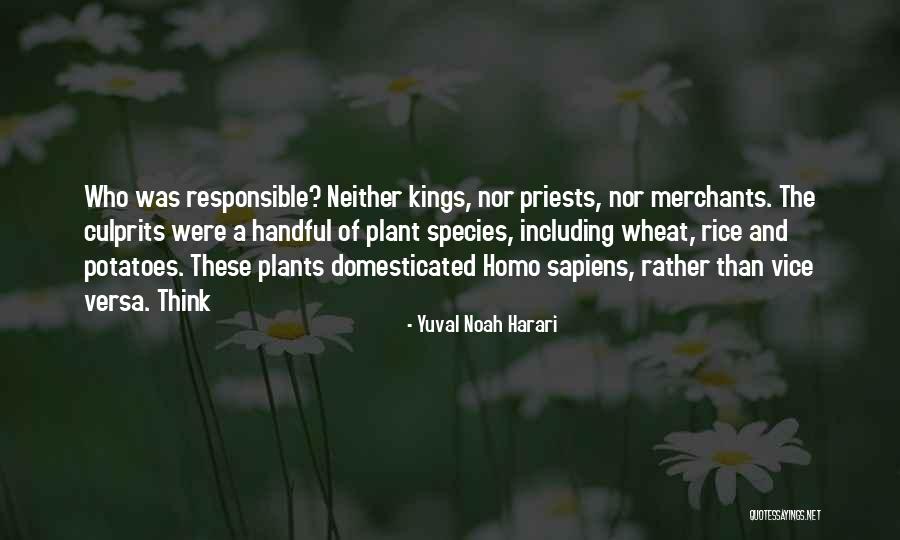Wheat Kings Quotes By Yuval Noah Harari