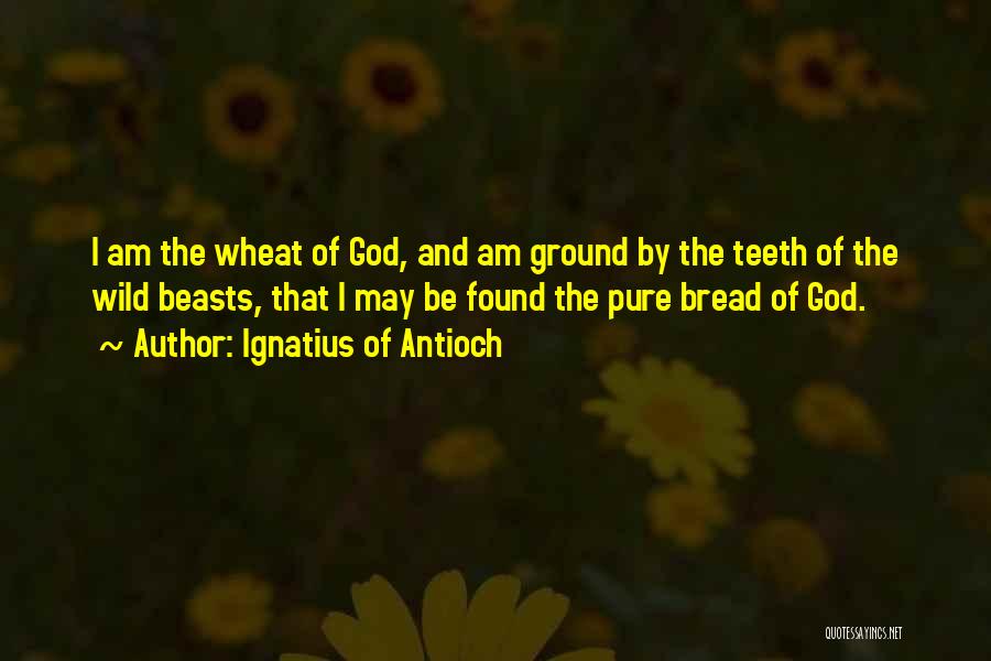 Wheat Quotes By Ignatius Of Antioch