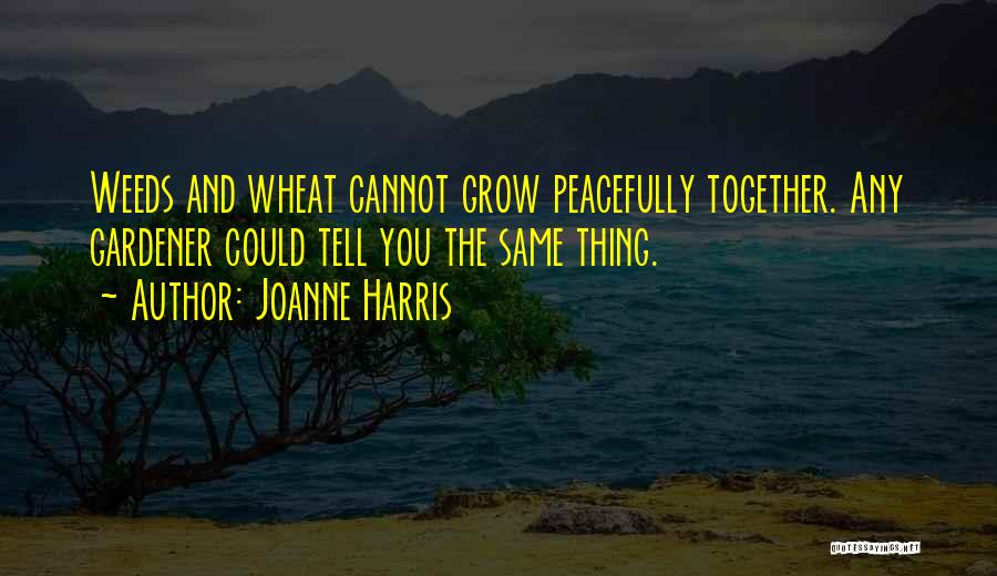 Wheat Quotes By Joanne Harris