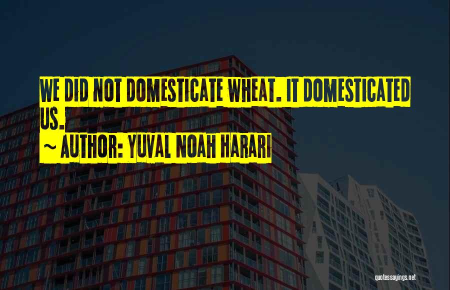 Wheat Quotes By Yuval Noah Harari