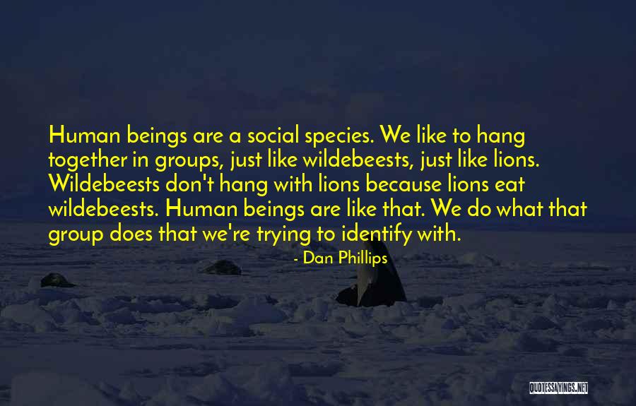 Wheat Stalks Clip Quotes By Dan Phillips Wheat Stalks Clip Quotes By Dan Phillips