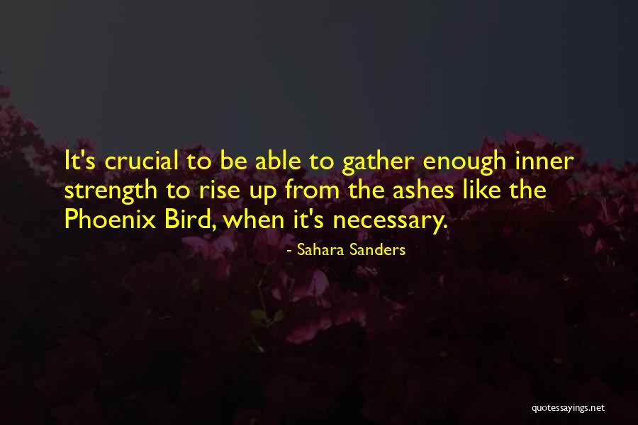 Whedon Dollhouse Quotes By Sahara Sanders Whedon Dollhouse Quotes By Sahara Sanders