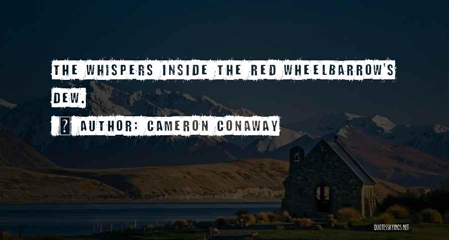 Wheelbarrow Quotes By Cameron Conaway