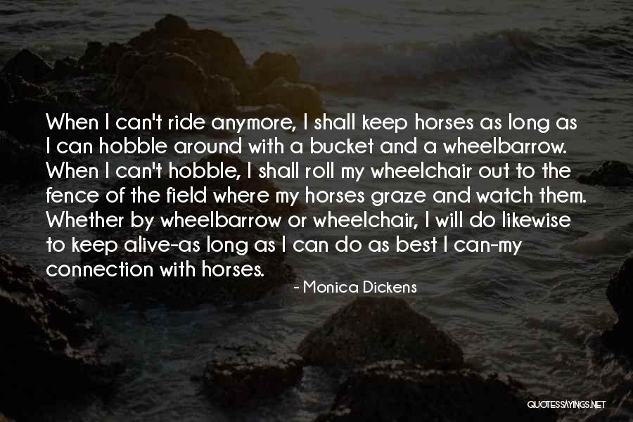 Wheelbarrow Quotes By Monica Dickens Wheelbarrow Quotes By Monica Dickens